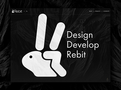 Re—Bit design layout minimal rebit ui website