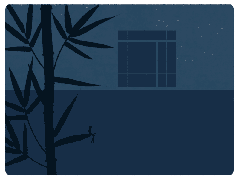 We Move II - New Studio & District bambou illustration light night window