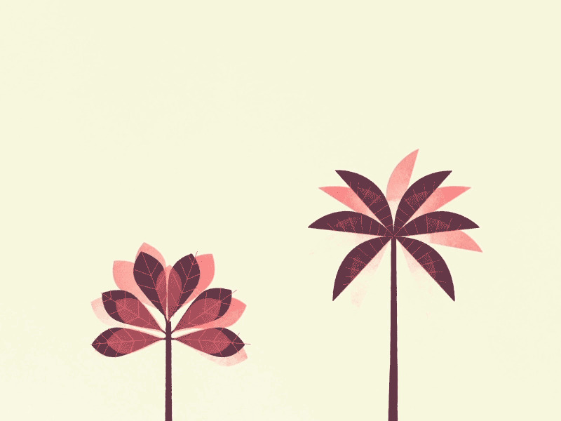 Plants Lover animation botanic illustration palm fresh exotic spring vegetal