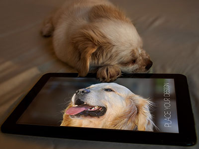 Pet & Tablet Mock Up