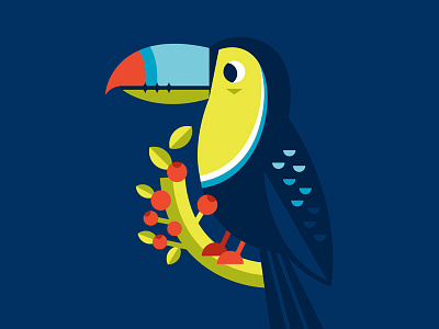 Toucan bird illustration modify ink toucan tropical