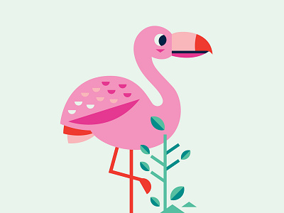 Flamingo