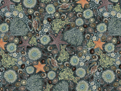 Tide Pool Adventure - pattern pattern desgin procreate surface design