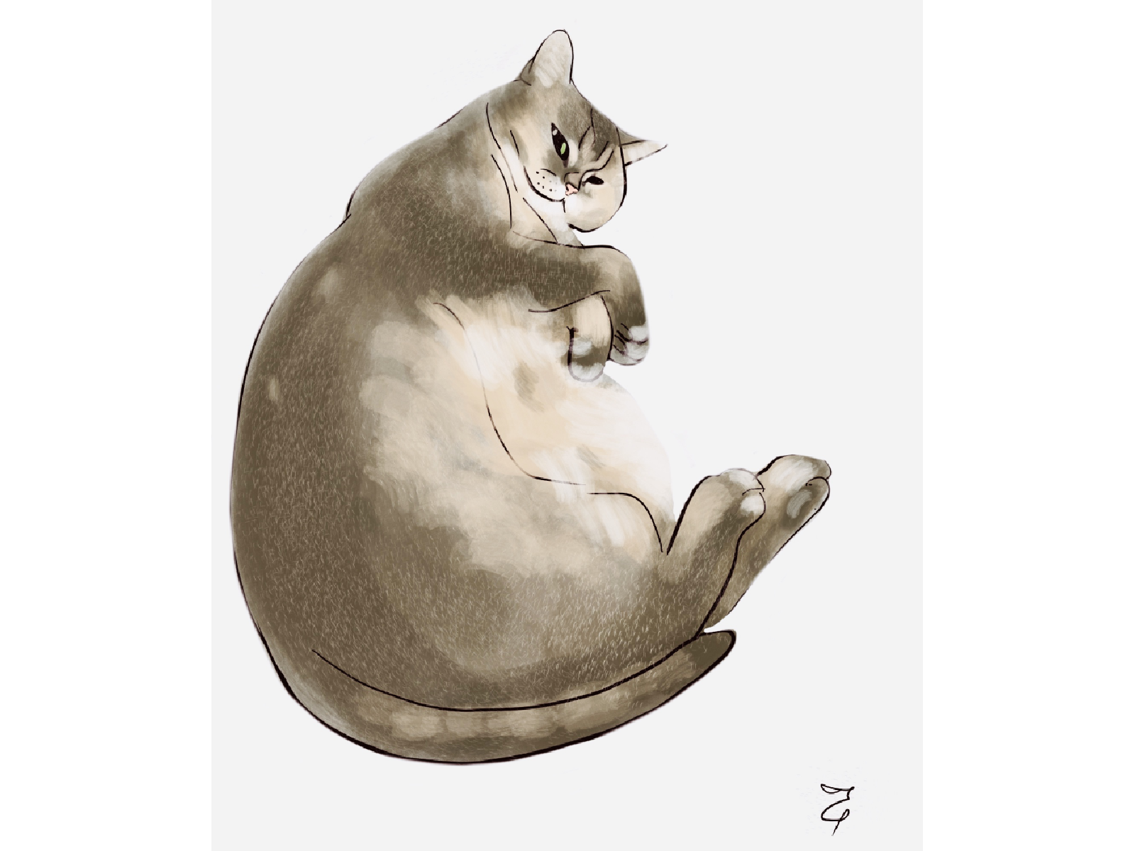 Fat Cat Drawing  HelloArtsy