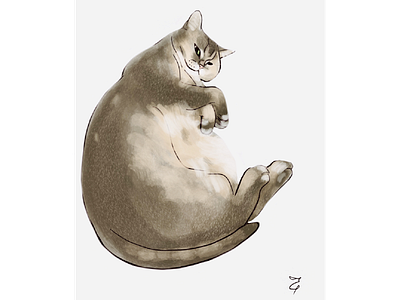 Fat cat animal cartoon cat digital art illustration
