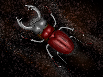 Stagbeetle affinity animal illustration