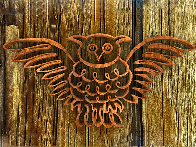 Owl on the wall