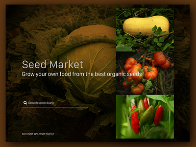 Seed market ecommerce landing page search web