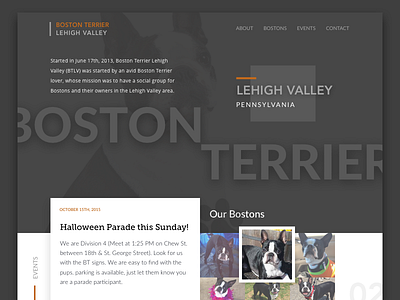 Day 003 - Landing Page #DailyUI boston boston terrier dogs header hero landing page lehigh valley pennsylvania ui web webite