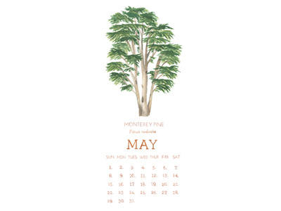 Dribble2 2016 calendar calendar design monterey pine