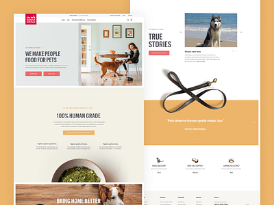 The Honest Kitchen Desktop Homepage clean digital dog dog food ecommerce ecommerce design flat homepagedesign minimal pets simple typography ui web