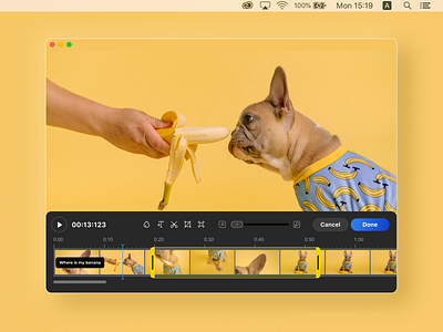 Simple video editor application banana desktop app desktop design dog interface minimal product design user interface video editor yellow