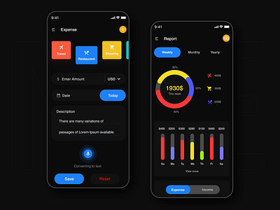 Dark Expense App - Home & Report App Screen