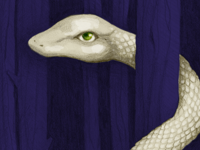 Giant Snake in-progress