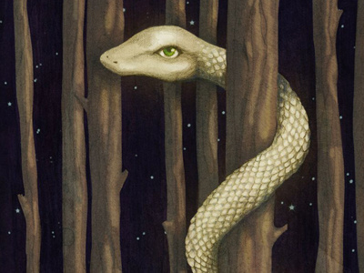 Giant Snake animal forest graphite illustration photoshop snake tree