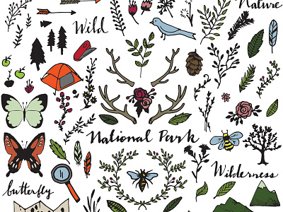 National Park Drawings Clipart antlers bee bird butterfly camping clip art clipart drawing explore hand drawn illustration national park national parks nature vector wilderness