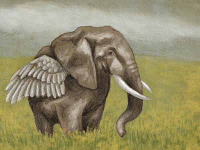 Ellie animals artwork drawing elephant mixed media painting photoshop wing
