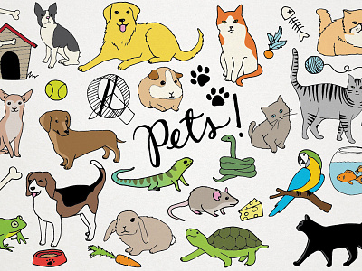 Pets Clipart Illustrations animals cat cats clip art clipart creative market cute dog dogs hand drawn illustrations pets resource vector