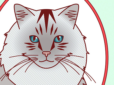 Ferocious • Regal • Fluffy animals art print cat cats cute etsy grey illustration posters prints ragdoll vector