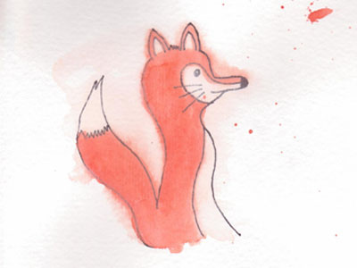 Mr. Fox animal color fox illustration water