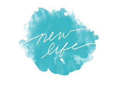 New Life Logo hand lettering life new typography water color