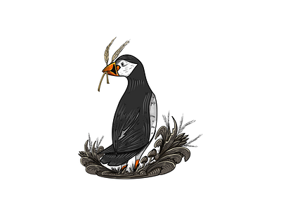 Bird Logo artwork bird bird illustration commision illustraion logo