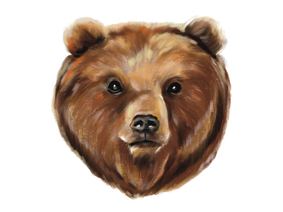 Grizzly bear animals bear illustration oil oil painting procreate