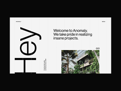 Anomaly Home animation clean interaction interface minimal motion type typography ui video website