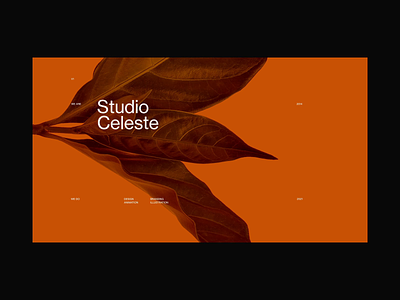Studio Celeste Home Animation animation app branding clean design flat minimal type typography ui ux vector web website