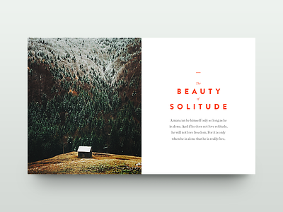The Beauty of Solitude clean forest hut minimal munich photography type typography woods