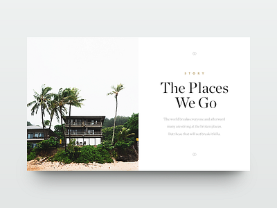 The Places We Go beach clean house minimal munich palm surf type typography ui