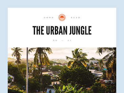 The Urban Jungle