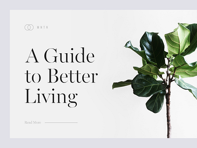 A Guide to Better Living clean lifestyle minimal munich plant type typography