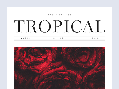 Tropical clean flowers lifestyle minimal munich roses type typography