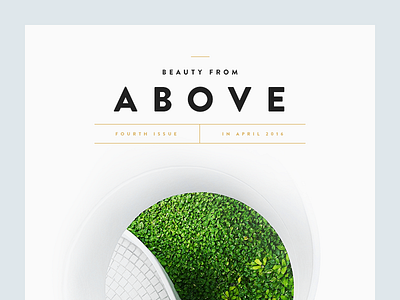 Beauty From Above clean green minimal munich type typography ui whitespace
