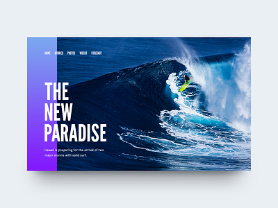 The New Paradise board clean minimal munich surf surfing swell type typography ui water waves