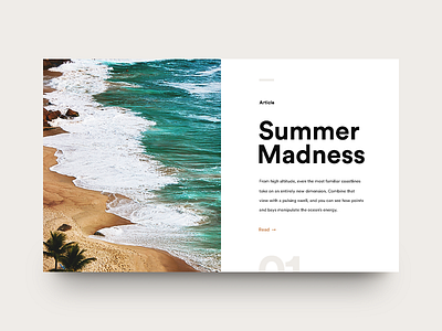 Summer Madness clean madness minimal munich summer surf type typography ui water