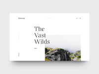Drifting into the Unknown by Vedad Siljak - Dribbble