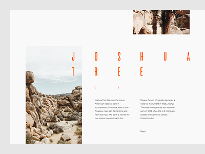 Joshua Tree clean desert editorial grid layout minimal munich park sky type typography