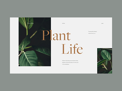 Plant Life animation clean green life logo minimal munich nature plant type typography