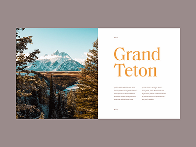 Grand Teton clean green minimal mountain munich national park sky snow trees