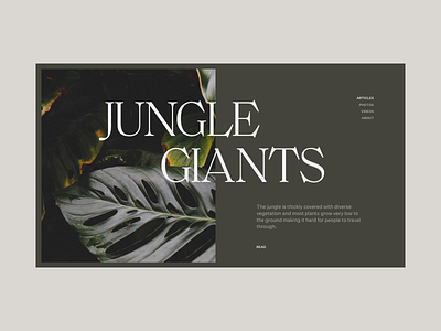 Jungle Giants clean jungle minimal munich plant type typography