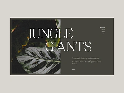 Jungle Giants clean jungle minimal munich plant type typography