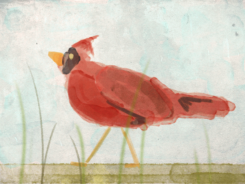 Cardinal Test animation