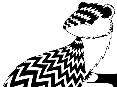 Ermine animal drawing illustration pattern