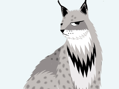 Lynx drawing graphic illustration