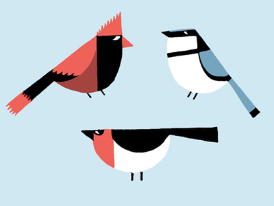 Winter Birds birds drawing graphic illustration