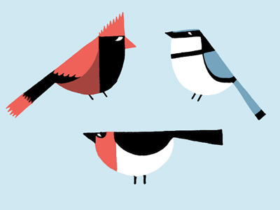 Winter Birds