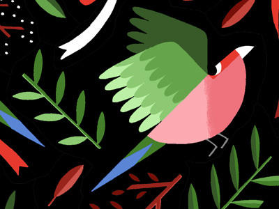 Lovebird drawing graphic illustration