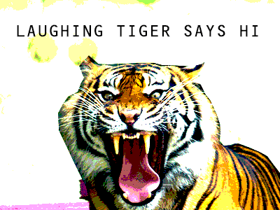 Laughing Tiger2 animated gif
